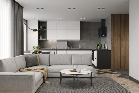 ДИЗАЙН-ПРОЕКТ КВАРТИРИ У ЖК PARK LAND